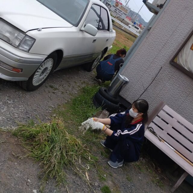 藤枝です。
当工場の雑草が生い茂ってましたので、奉仕活動で地元元中学生がお手伝いに来てくれました。
お陰様でとても綺麗になりました。
当日限定ですが平均年齢がかなり若くなったのは言うまでもありません笑

#藤枝輪業
