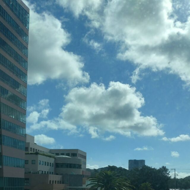 おはよう御座います。
藤枝です。

本日、諸事情につき臨時休業とさせて頂きます。
明日以降の営業は改めてお知らせします。
宜しくお願いします。

#藤枝輪業